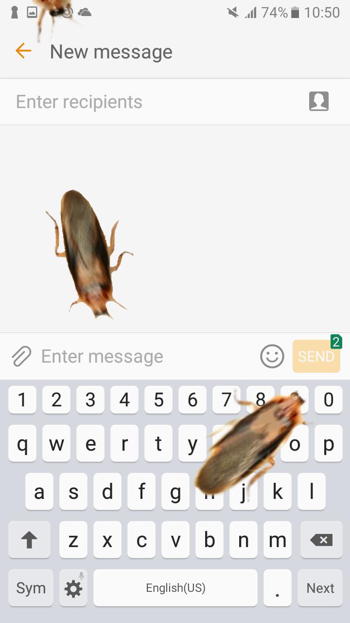 Kecoa Di Layar Lelucon Gambar Lucu Bergerak For Android Apk