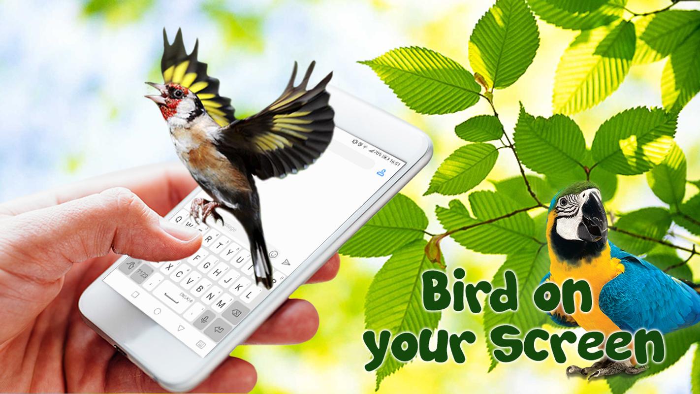 Com Va4f Birds In Flight On Screen Funny Gifs App