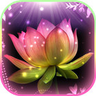 Fleur de Lotus Logiciel Fond d'Écran Animé icône