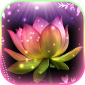 Android 用の ハス の 花 ライブ 壁紙 無料 アプリと キラキラ 背景 Apk をダウンロード