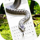 Serpiente en la Pantalla de Broma Divertida icono