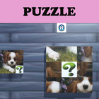 PUZZLE PETTY DOGS ไอคอน