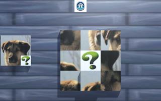 PUZZLE PETTY DOGS screenshot 2