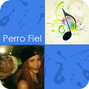 🎵 Shakira - Nicky Jam - Perro Fiel - Piano Tiles APK