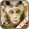 Animals for kids APK