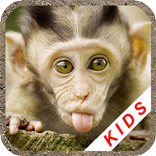Animals for kids