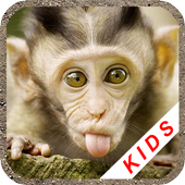 Animals for kids icon