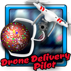 Drone Delivery Pilot icône