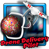 Drone Delivery Pilot