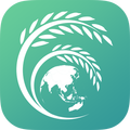 Rice Globe