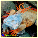 Various Reptiles APK