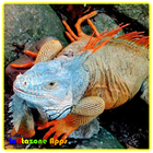 Various Reptiles icon