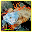 Divers reptiles APK