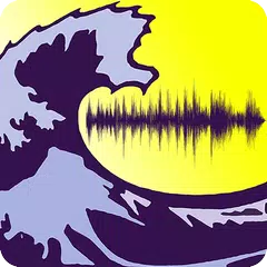 Wav Voice Tune - Auto pitch correction アプリダウンロード