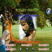 برنامه‌نما Rosary Prayer - Full عکس از صفحه