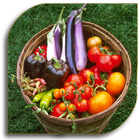 Vegetable Gardening icône