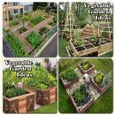 Vegetable garden ideas APK