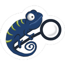 Veiled APK