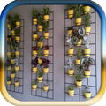 Vertical Garden Design Ideas