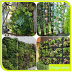 Vertical Garden Planter Ideas