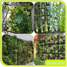 Vertical Garden Planter Ideas icône