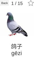 Chinese Picture Dictionary: An capture d'écran 2