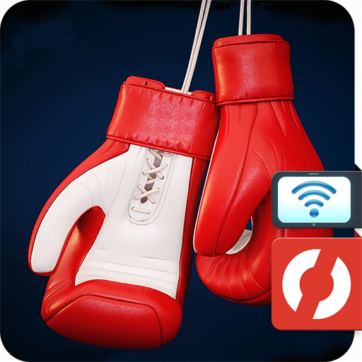 Box Fighter Viewer