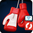 Box Fighter Viewer