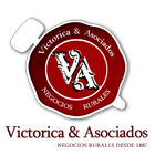 Victorica & Asociados ikona