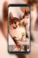 برنامه‌نما Cat Kitty Adorable Pets Cute Pussy Lock Screen عکس از صفحه
