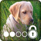 4K Labrador Cute Puppy Amoled Screen Lock ไอคอน