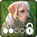 4K Labrador Cute Puppy Amoled Screen Lock APK