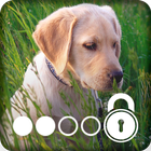 4K Labrador Cute Puppy Amoled Screen Lock ícone