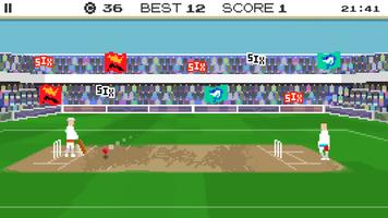 SIX The Cricket Game پوسٹر