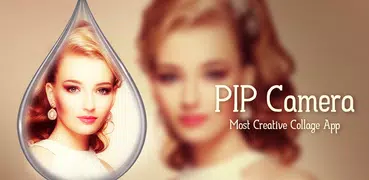 PIP Mag Collage - フォトラボ