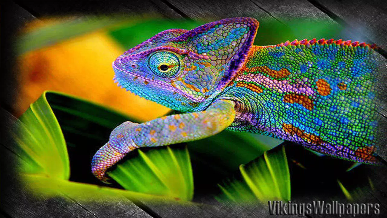 Tải xuống APK Chameleon Wallpaper cho Android