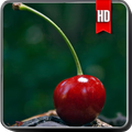 Cherry Wallpaper