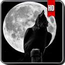 Crow Wallpaper APK