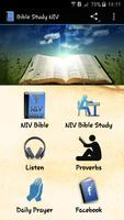 Bible Study NIV poster