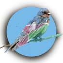 Aves de Chile AR APK