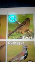 Aves de Chile AR 截圖 2
