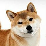 Это Фиаско!