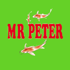 Mr Peter simgesi