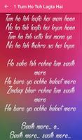 Tum Ho Toh Lagta Hai Album screenshot 2