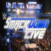 WWE SmackDown : SmackDown Fight Videos aplikacja