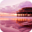 Sunny beaches. Live wallpapers APK