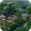 Asian village. Live wallpapers APK