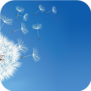 Clear Sky. Live HD Wallpapers APK