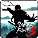 Hints For Shadow Fight 3 APK