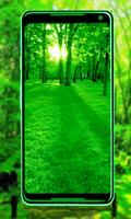 Green Nature New HD wallpaper screenshot 3